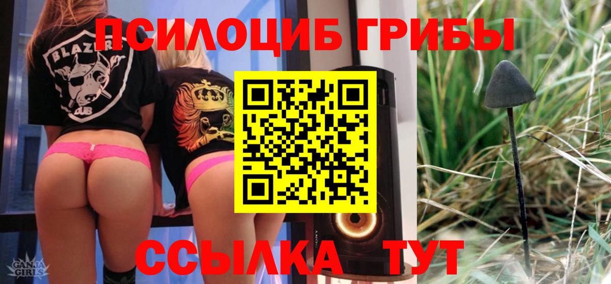 Псилоцибиновые грибы GOLDEN TEACHER  Вход с VPN  Семилуки  Псилоцибиновые грибы мицелий 