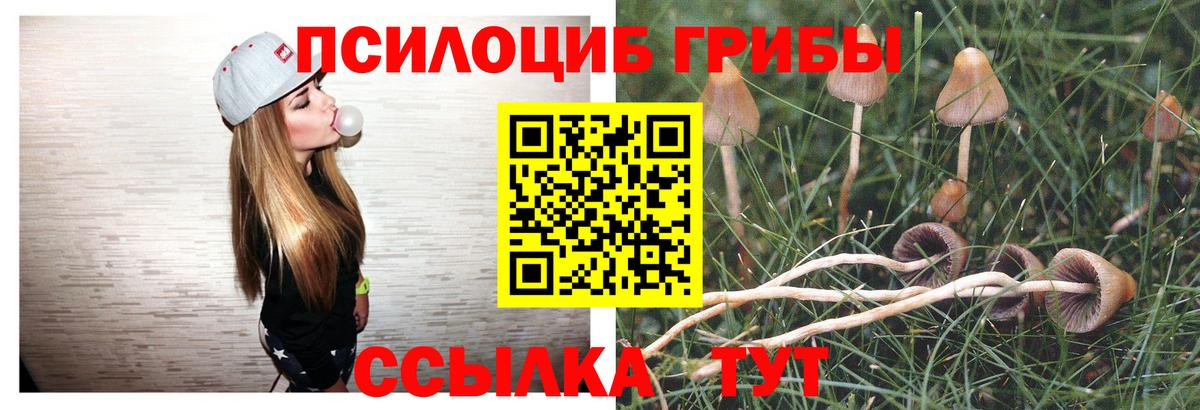Галлюциногенные грибы ЛСД Семилуки